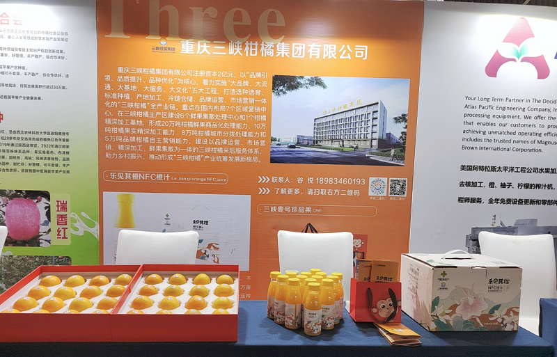 新葡京(中国)官方网站