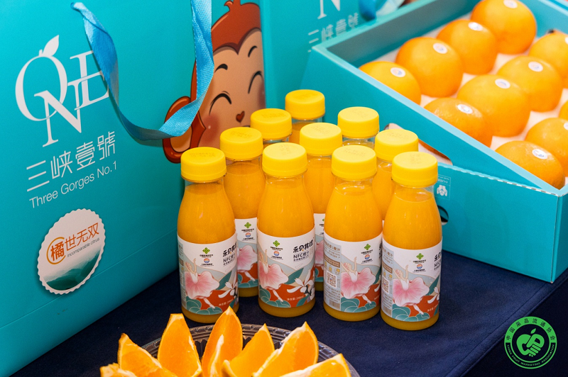 新葡京(中国)官方网站