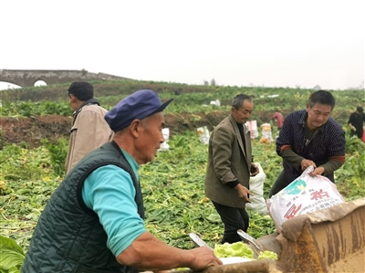 新葡京(中国)官方网站