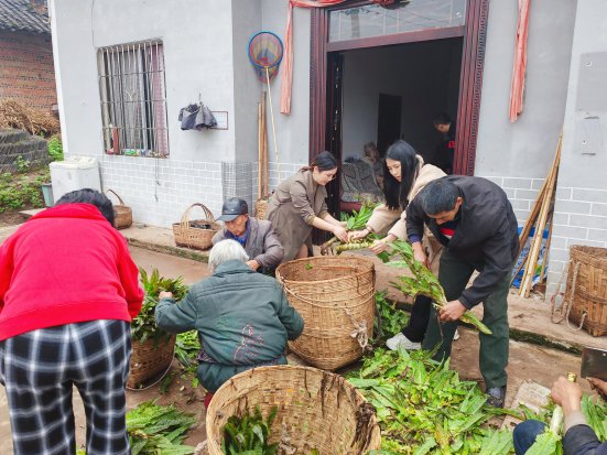 新葡京(中国)官方网站