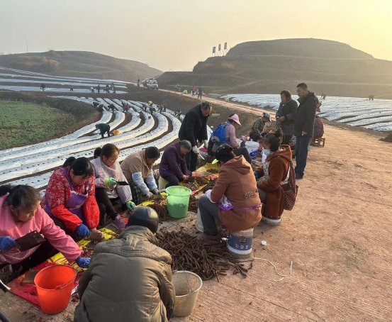 新葡京(中国)官方网站