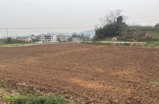 新葡京(中国)官方网站