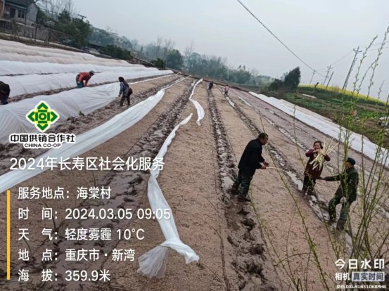 新葡京(中国)官方网站