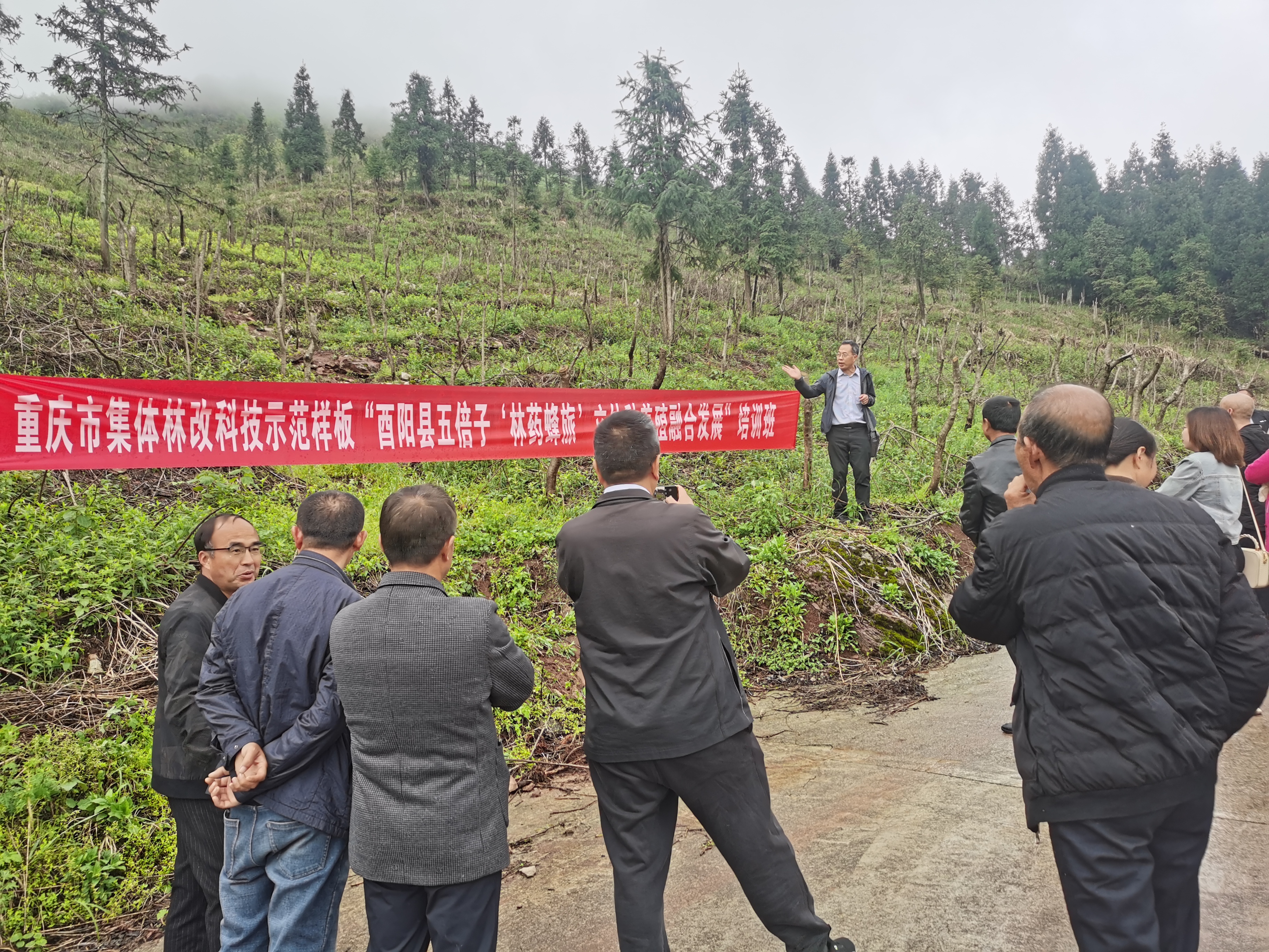 新葡京(中国)官方网站