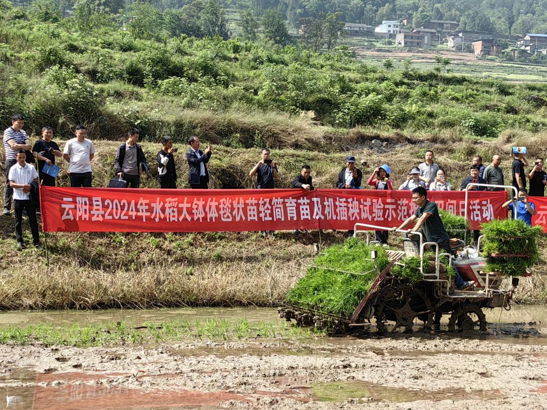 新葡京(中国)官方网站