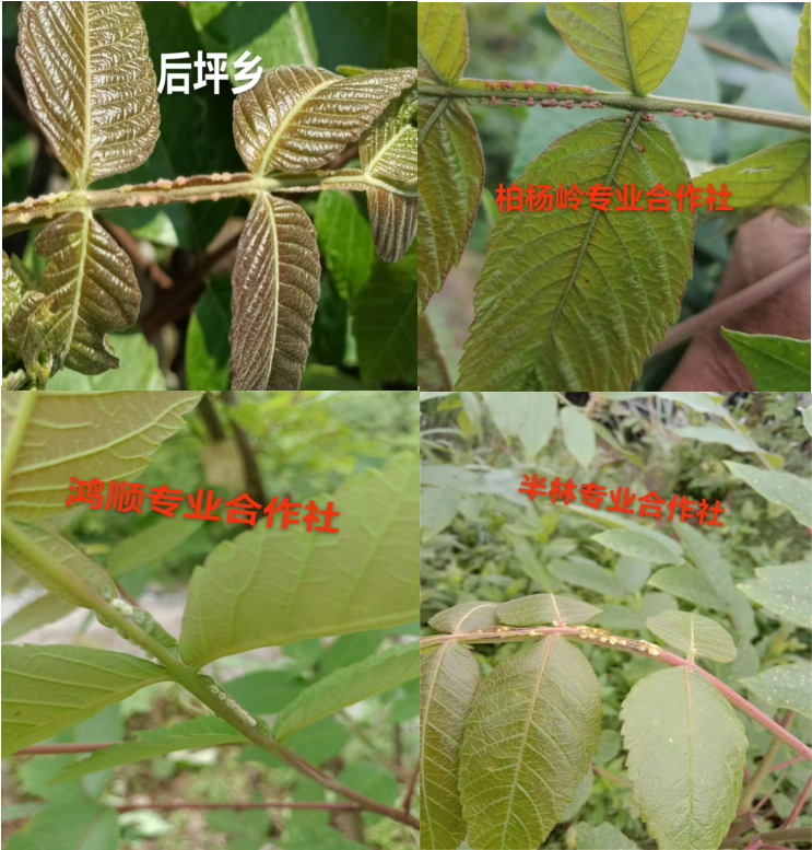 新葡京(中国)官方网站