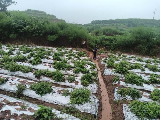 新葡京(中国)官方网站