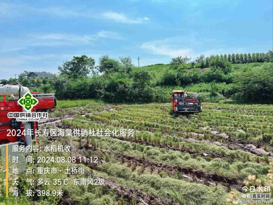 新葡京(中国)官方网站