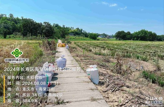 新葡京(中国)官方网站