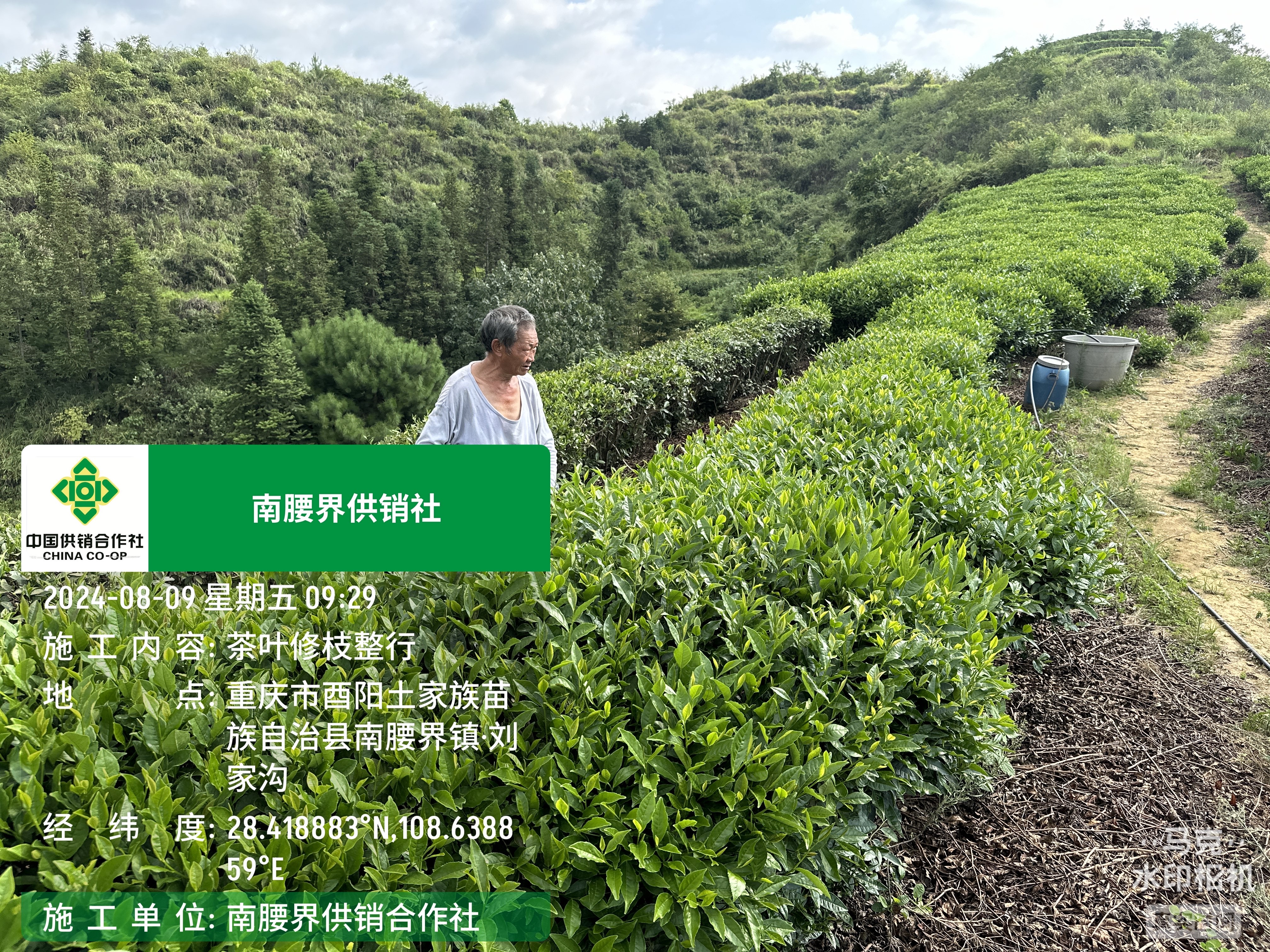 新葡京(中国)官方网站