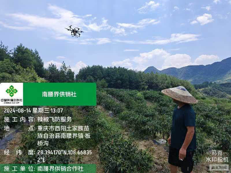 新葡京(中国)官方网站