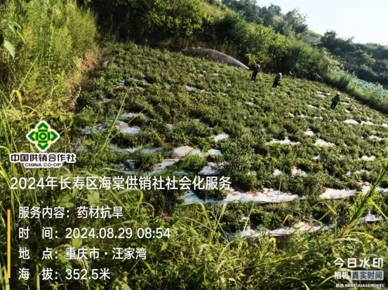 新葡京(中国)官方网站