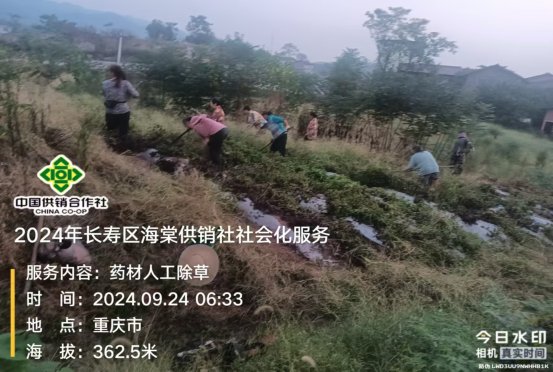 新葡京(中国)官方网站