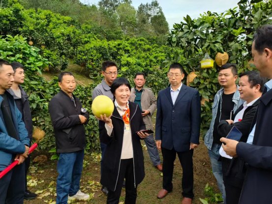 新葡京(中国)官方网站