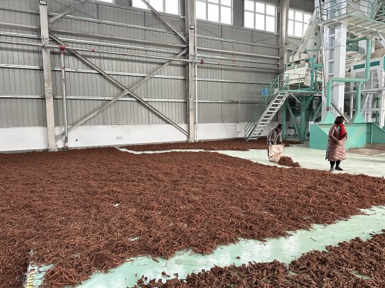 新葡京(中国)官方网站