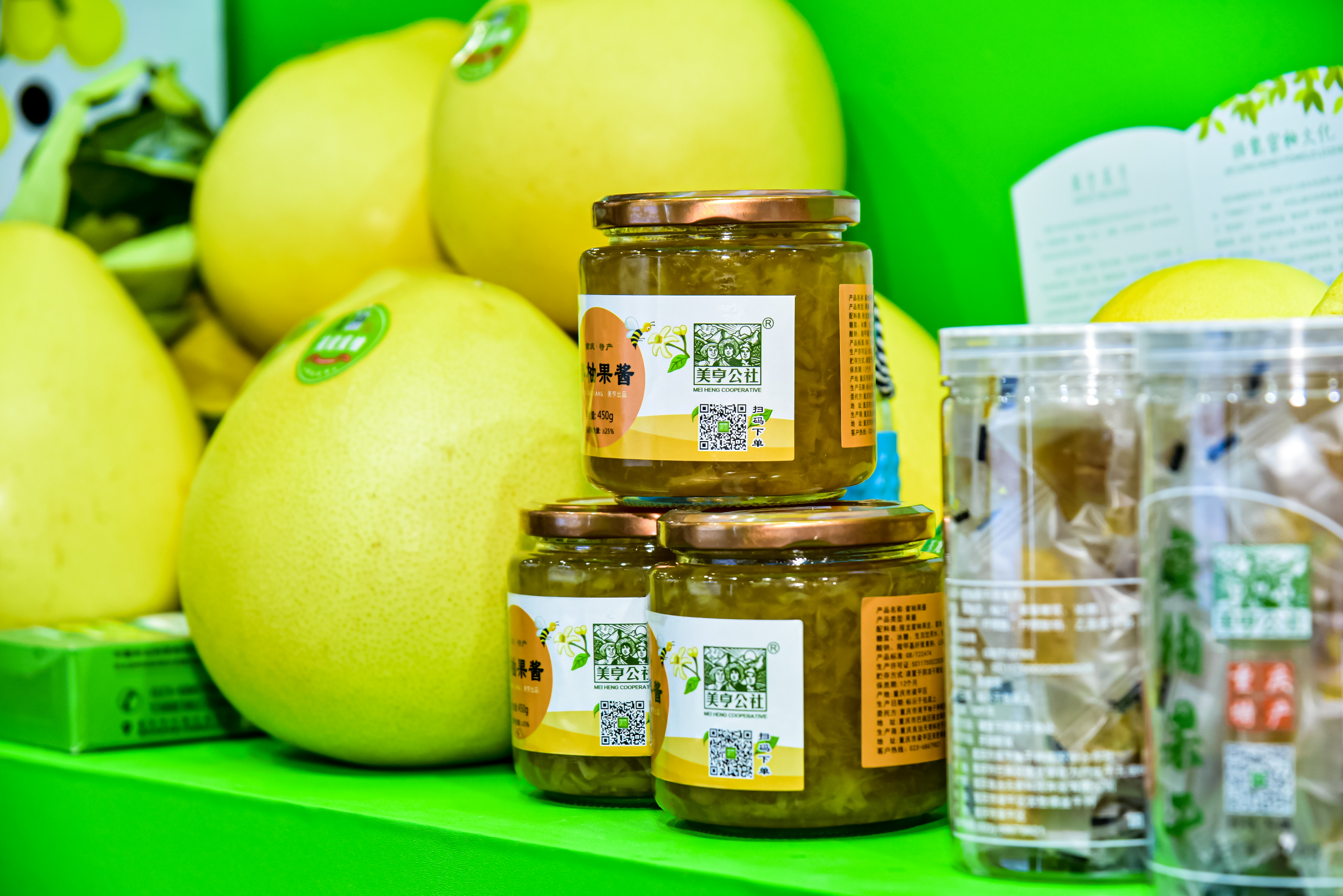 新葡京(中国)官方网站