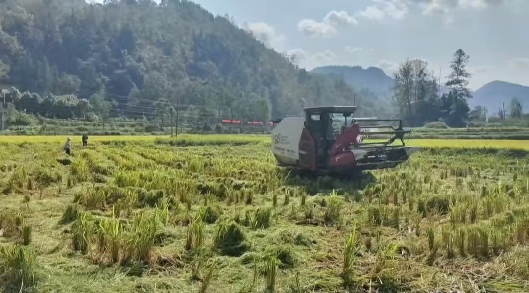新葡京(中国)官方网站