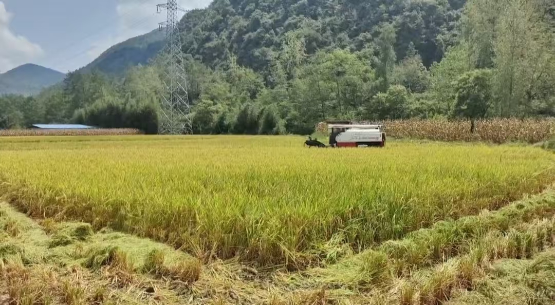 新葡京(中国)官方网站