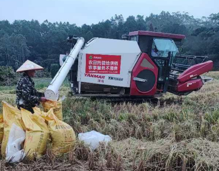 新葡京(中国)官方网站