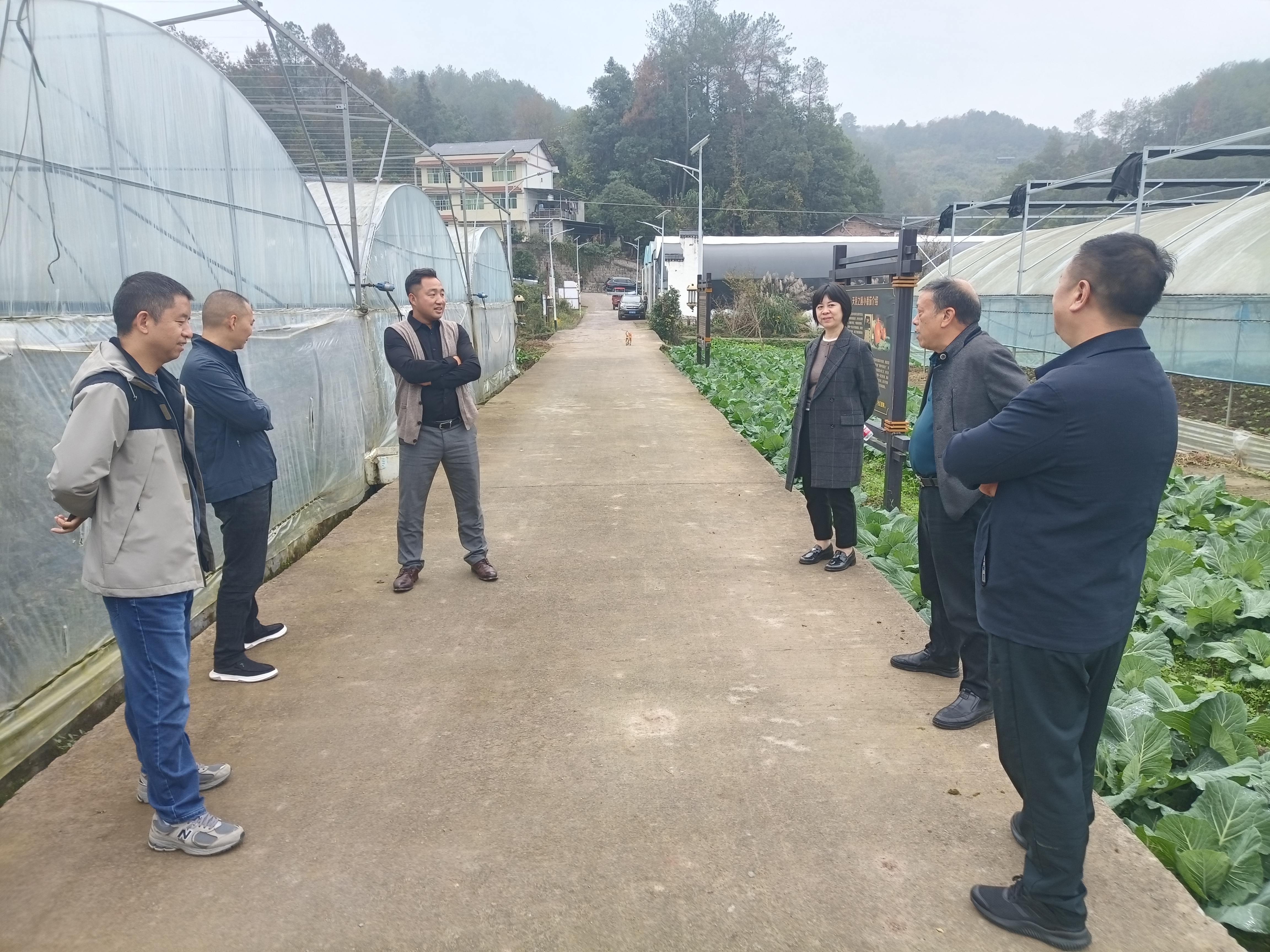 新葡京(中国)官方网站