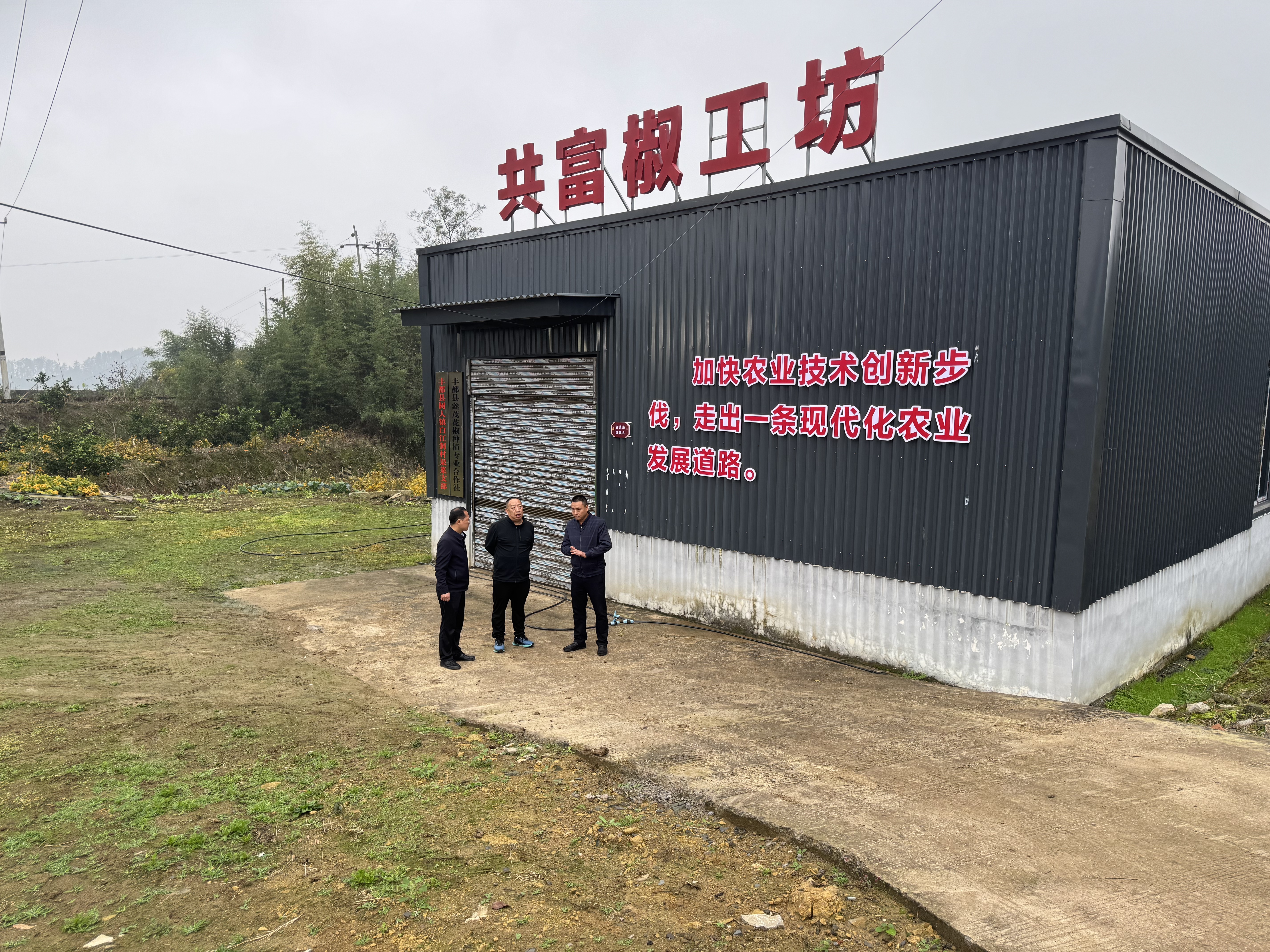 新葡京(中国)官方网站
