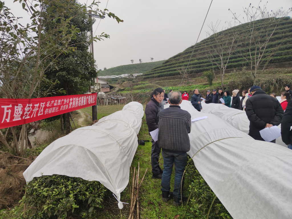 图片1.png 新葡京(中国)官方网站