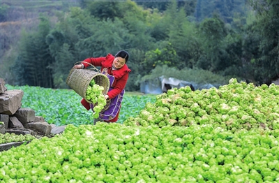 新葡京(中国)官方网站