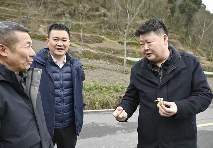 新葡京(中国)官方网站