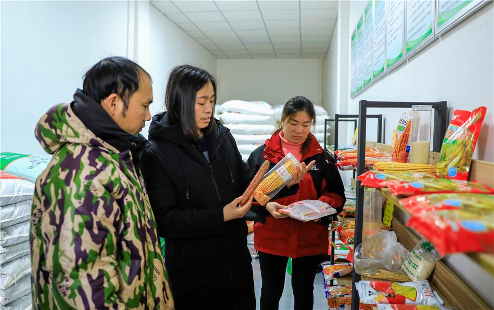 新葡京(中国)官方网站