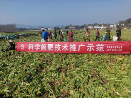 新葡京(中国)官方网站
