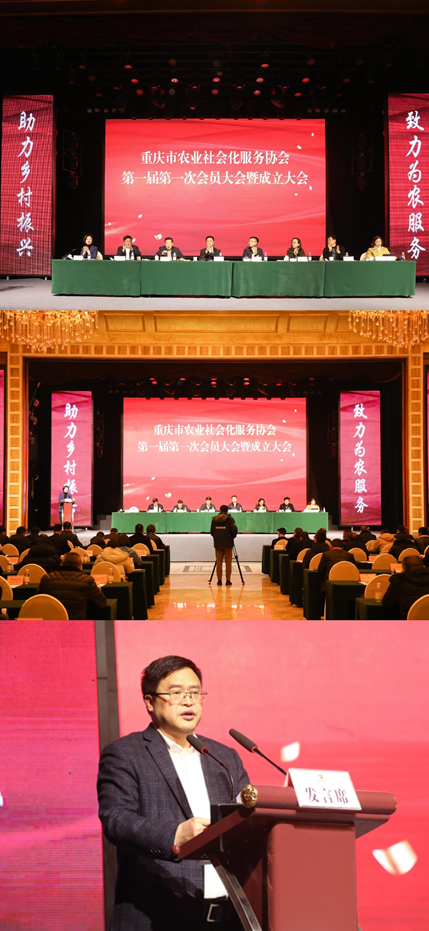 新葡京(中国)官方网站