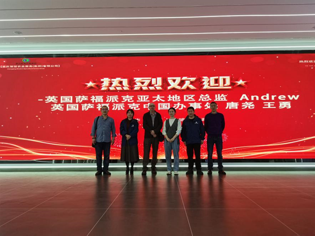 新葡京(中国)官方网站