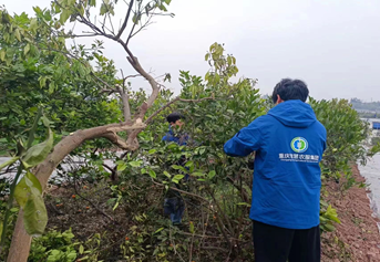 新葡京(中国)官方网站