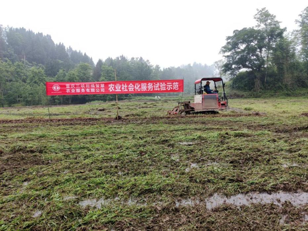新葡京(中国)官方网站