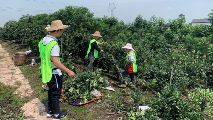 1(1).jpg 新葡京(中国)官方网站