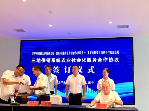 新葡京(中国)官方网站