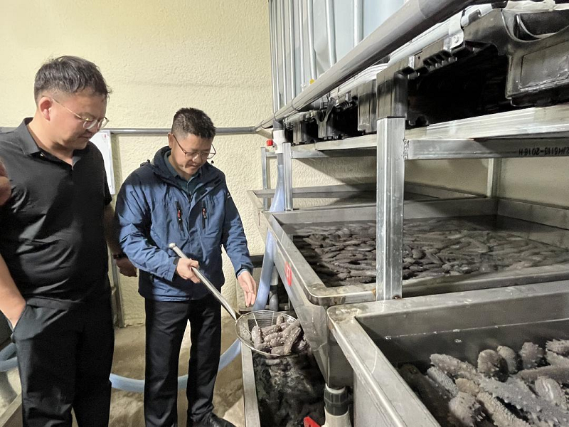 新葡京(中国)官方网站