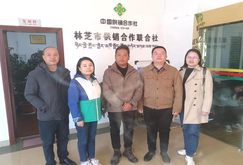 新葡京(中国)官方网站