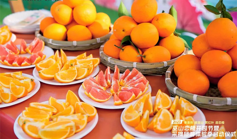 新葡京(中国)官方网站