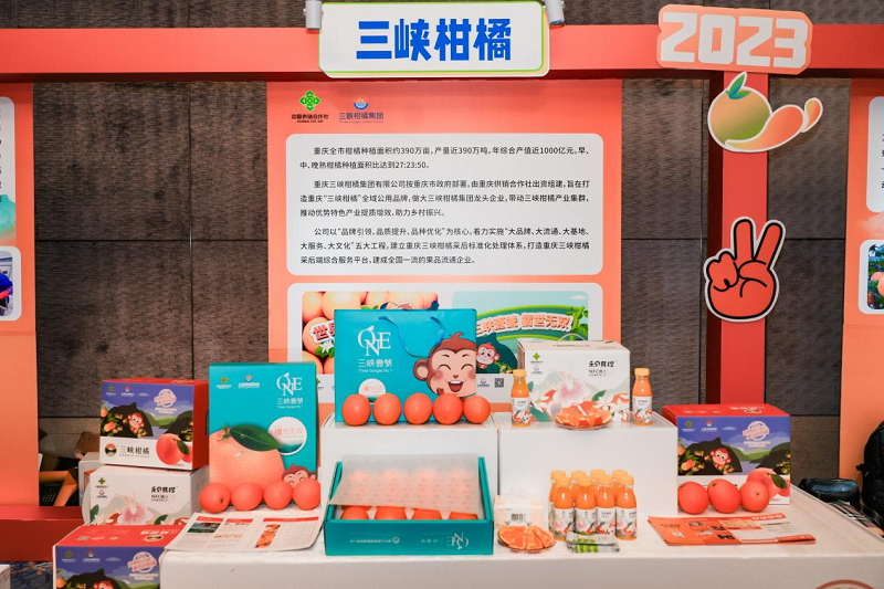 新葡京(中国)官方网站