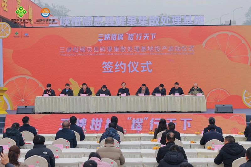 新葡京(中国)官方网站