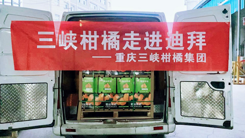 新葡京(中国)官方网站