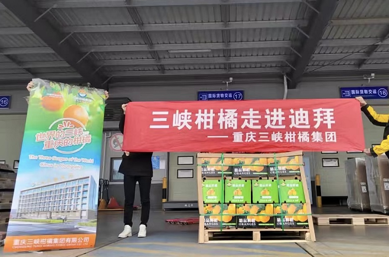 新葡京(中国)官方网站