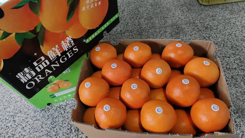 新葡京(中国)官方网站