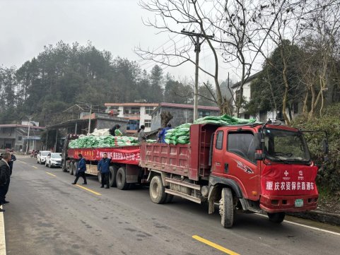 新葡京(中国)官方网站