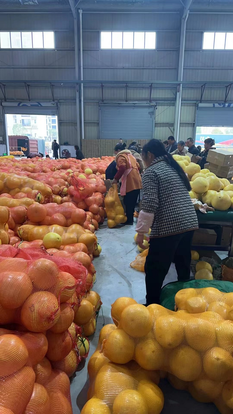 新葡京(中国)官方网站