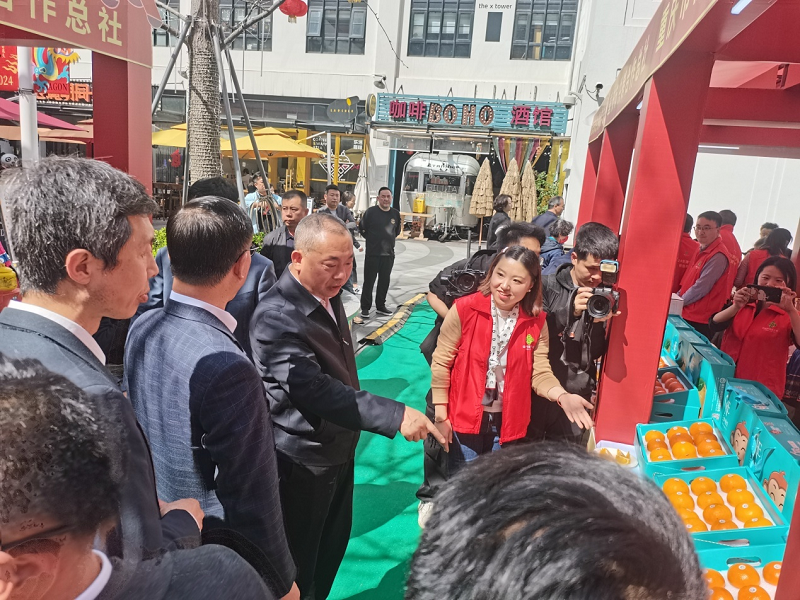 新葡京(中国)官方网站