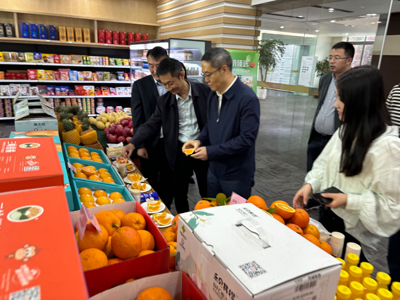 新葡京(中国)官方网站