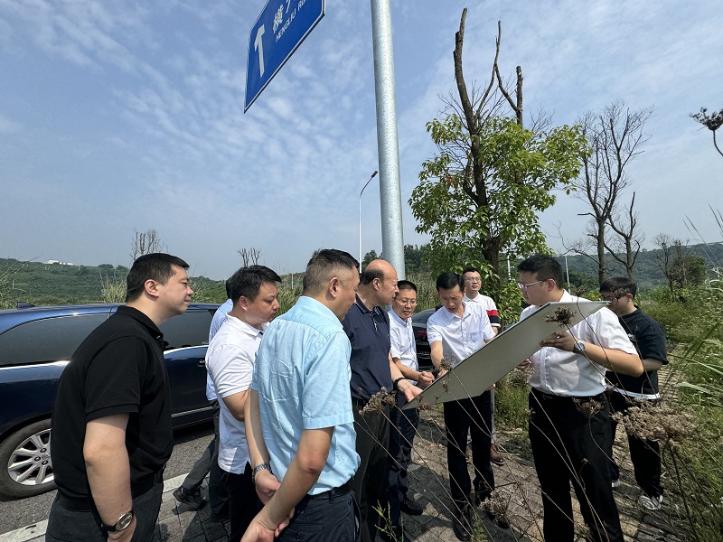 新葡京(中国)官方网站