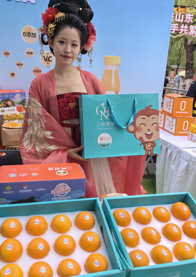 新葡京(中国)官方网站
